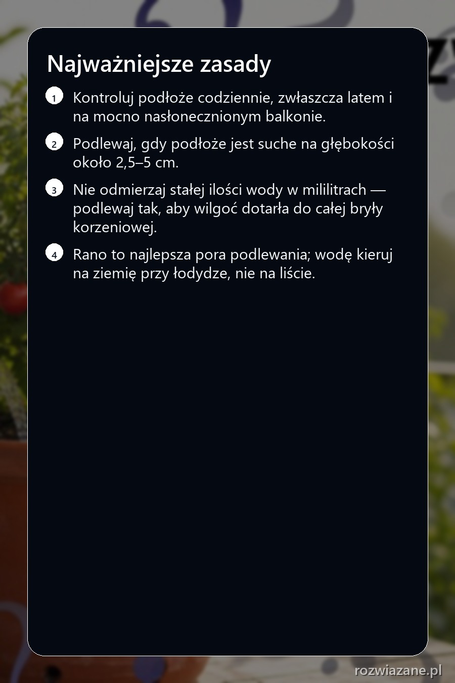 Najważniejsze zasady dotyczące tematu: Jak podlewać pomidory w donicach na balkonie?